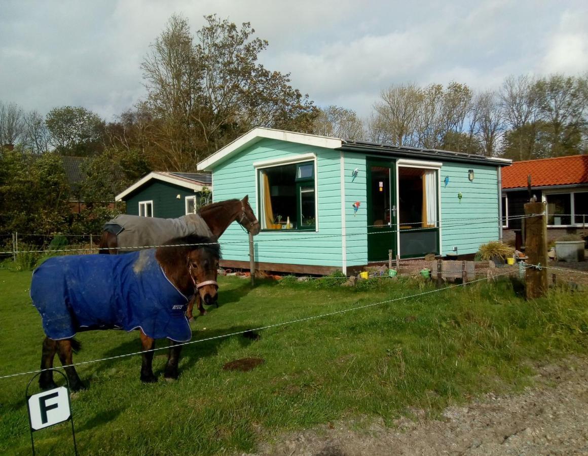 مبيت وإفطار فيرينغْئِفيرف Betty'S Tiny House المظهر الخارجي الصورة